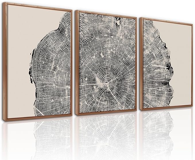 CHDITB Tree Ring Framed Canvas Wall Art Set Of 3,Abstract wood texture Artwork Modern Nature Wall Decor, Neutral Wall Painting,Vintage Wood Ring Art Prints For Bedroom Living Room Decor(12X16 Inch)