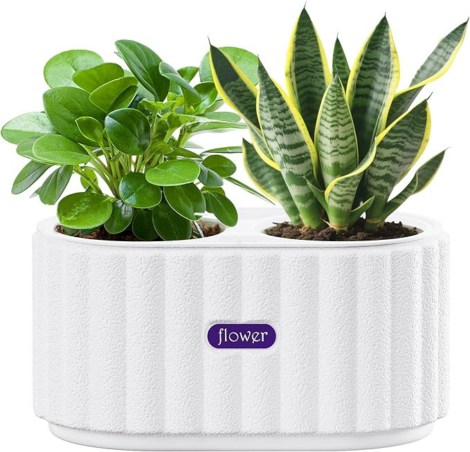 HOSUN 4 inch Two Planting Holes Self Watering Pots for Indoor Plants, Flower Plant Pots with Drainage Holes and Clear Reservoirs, Plastic Planters with Wicking Rope, White