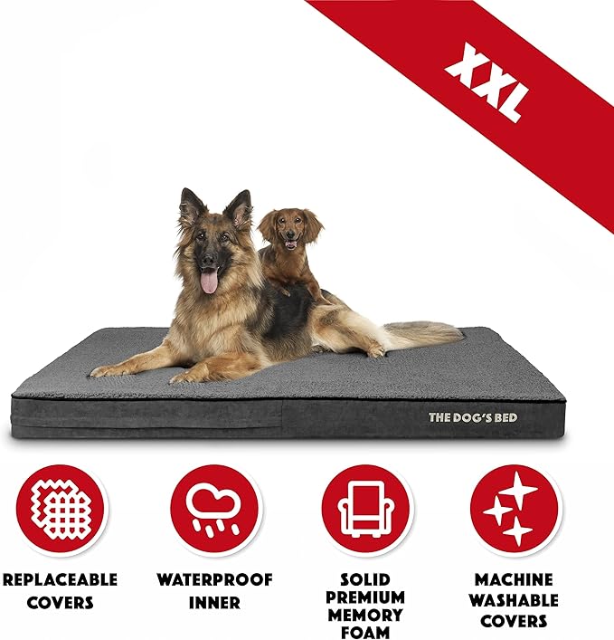 The Dog’s Bed Orthopedic Memory Foam Dog Bed, 2XL Grey Plush, Pain Relief for Arthritis, Hip & Elbow Dysplasia, Post Surgery, Lameness, Supportive, Calming, Waterproof Washable Cover